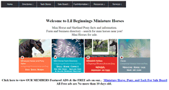 Desktop Screenshot of lilbeginnings.com