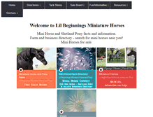 Tablet Screenshot of lilbeginnings.com